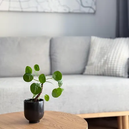 Ksiecia Witolda River And Lift Apartment