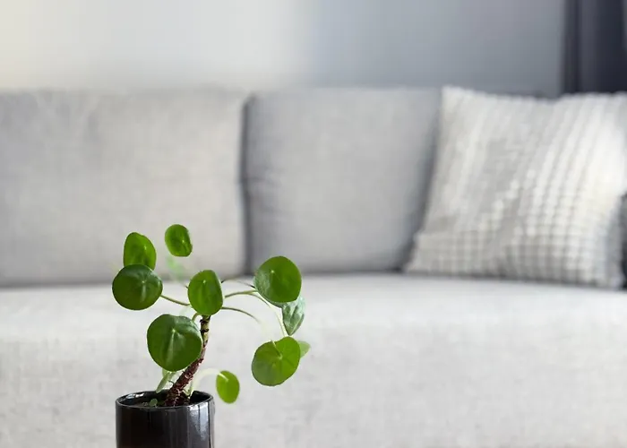 Ksiecia Witolda River And Lift 아파트